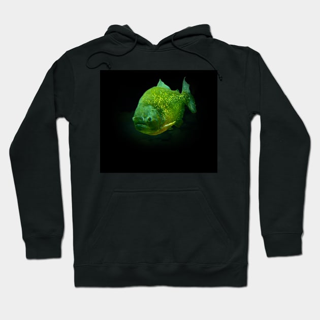 Piranha Hoodie by Guardi